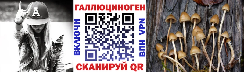 кракен ТОР  Нахабино  Псилоцибиновые грибы GOLDEN TEACHER 