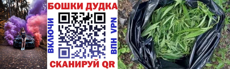 Канабис индика  Нахабино 